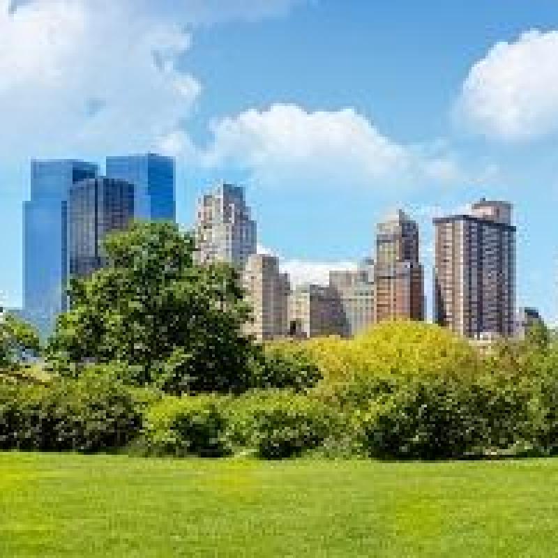 Urban trees in the front and city skyline in the background
