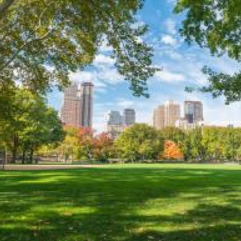 Park in city